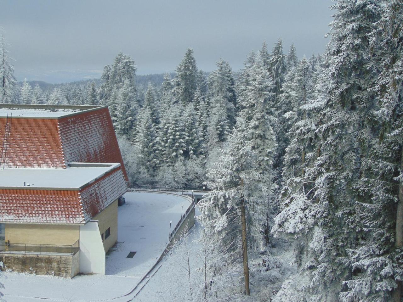Ski Apartment Boyika Iglika 2 Borovets Ngoại thất bức ảnh
